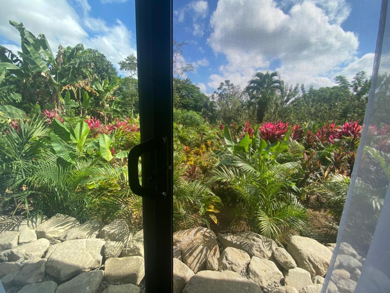 Toucan Home La Fortuna Exterior photo