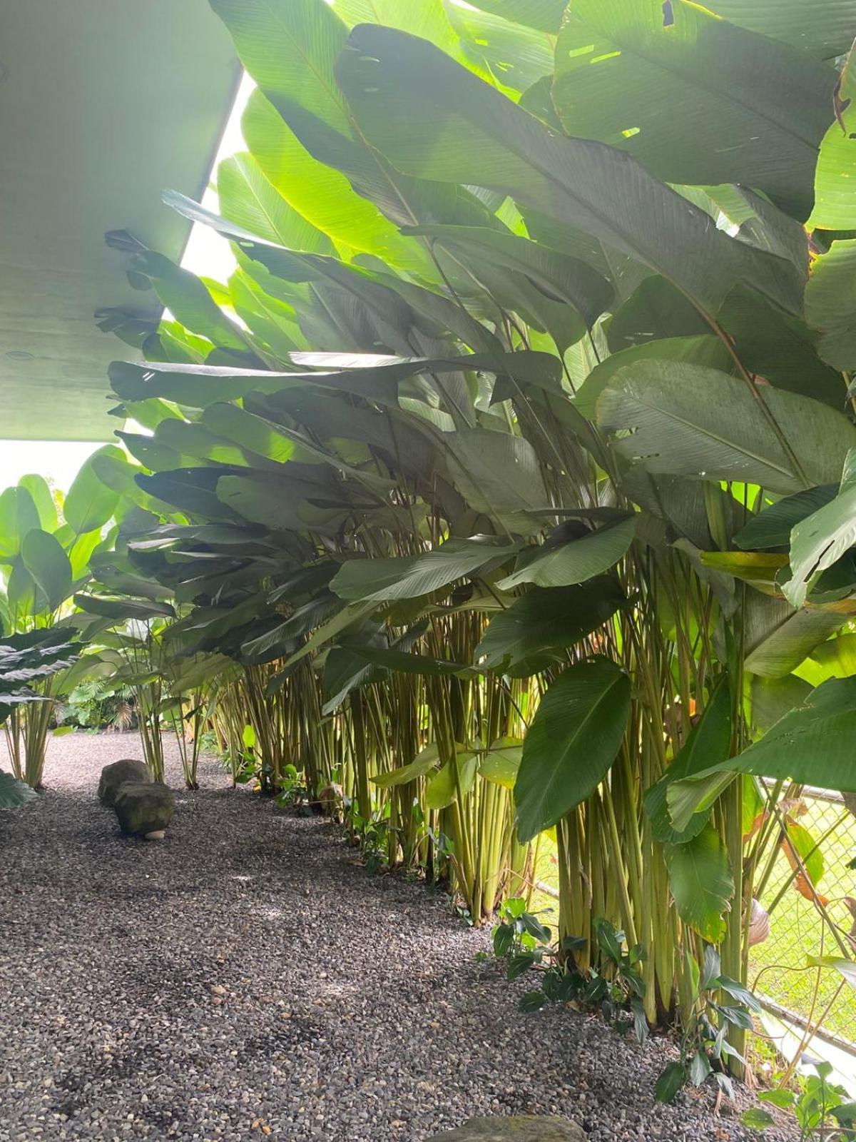Toucan Home La Fortuna Exterior photo