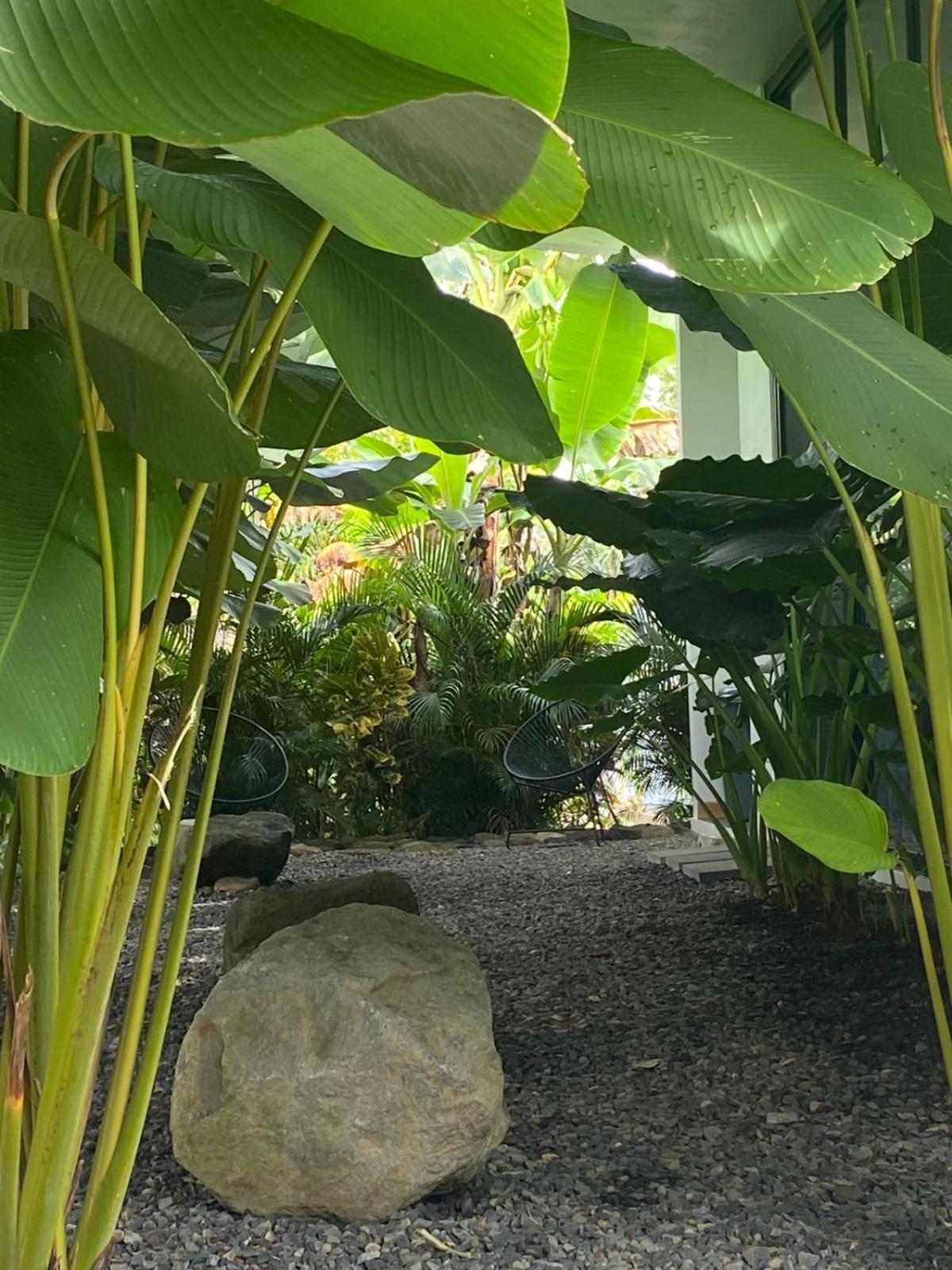 Toucan Home La Fortuna Exterior photo